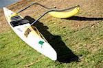 High angle view of a kayak in a park, Honolulu, Oahu, Hawaii Islands, USA