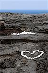 High angle view of heart shaped pebbles on rock, Kona Coast, Big Island, Hawaii Islands, USA