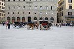 Horsedrawns vor einem Gebäude, Florenz, Italien