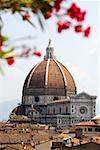 Cathedral in a city, Duomo Santa Maria Del Fiore, Florence, Tuscany, Italy