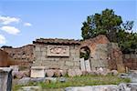 Low angle view of the old ruins of a building, Roman Forum, Rome, Italy