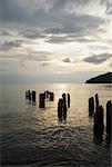 Wooden posts in the sea, Taganga Bay, Departamento De Magdalena, Colombia