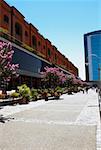 Potted plants in front of a building, Puerto Madero, Dock 4, Buenos Aires, Argentina