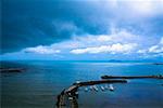 High angle view of a jetty, Panama