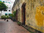 Getopfte Pflanzen gegen eine Wand, alte Panama, Panama City, Panama