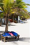 Flippers on a bench under a palm tree on the beach, West Bay Beach Roatan, Bay Islands, Honduras
