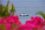 High angle view of a boat in the sea, Roatan, Bay Islands, Honduras