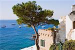 Boats in the sea, Capri, Campania Italy