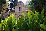 Plantes en face d'une église de la Panagia Gorgoepikoos, Athènes, Grèce