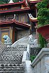 Low angle view of a temple, Ta Prohm Temple, Angkor Wat, Siem Reap, Cambodia