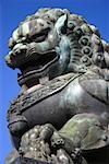 Vue d'angle faible de la statue d'un lion, cité interdite, Pékin, Chine
