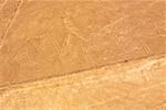 Luftbild von Nazca-Linien, die ein Gannet, Nazca, Peru