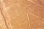 Aerial view of Nazca lines representing a spider, Nazca, Peru