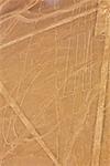 Luftbild von Nazca-Linien, die einen Papagei in der Wüste von Nazca, Peru