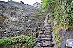 Low angle view of ruined steps, Aguas Calientes, Mt Huayna Picchu Machu Picchu, Cusco Region, Peru