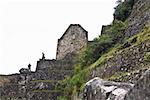 Low angle view of ruins, Aguas Calientes, Mt Huayna Picchu, Machu Picchu, Cusco Region, Peru