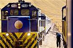 Rear view of a man walking near a train, Puno, Cuzco, Peru