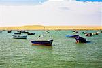 Boats anchored in the sea, Paracas National Reserve, Paracas Ica Region, Peru