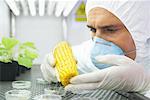 Scientist Examining Food