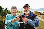 Couple en vignoble, soulevant des verres de vin