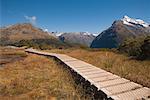 Promenade durch Tal, Routeburn Track, Fiordland-Nationalpark, Südinsel, Neuseeland