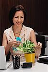 Eine Frau neigt dazu, eine Topfpflanze auf ihrem Schreibtisch