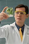 Scientist examining jar with plant samples