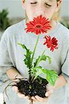 Boy smelling uprooted flowers held in cupped hands, eyes closed