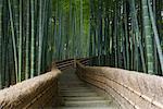 Bambus Pfad, Adashino Nembutsuji Tempel, Kyoto, Japan