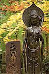 Statue d'arbres, Kansai, Honshu, Japon