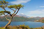 Ashinoke and Mount Fuji, Hakone, Honshu, Japan