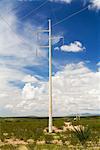 Hydro Poles, Nevada Desert, USA