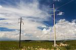 Poteaux d'électricité dans le désert du Nevada, USA