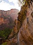 Rock Face, Zion National Park, Utah, USA