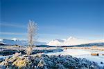 Frozen Lake and Black Mount, Rannoch Moor, Scotland