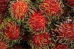 Rambutan