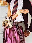 Portrait de Couple avec leur chien dans un sac