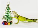 Iguane avec arbre de Noël et des cadeaux