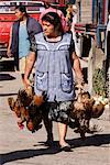 Femme transportant des poulets dans la rue, Oaxaca, Mexique