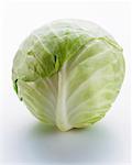 A Head of White Cabbage