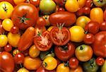 Tomaten-Stilleben (Vollbild)