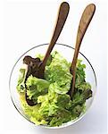 Mixed Lettuce in a Glass Salad Bowl