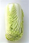 Napa Cabbage