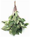 Thai Basil