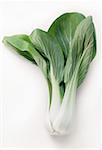 Bok Choy