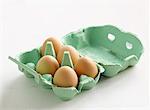 Cinq œufs dans une boîte d'oeufs