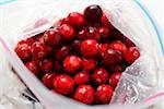 Cranberries in freezer bag (from above)