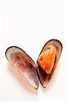 New Zealand mussel (opened)