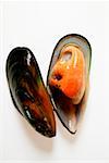 New Zealand mussel with mussel shells