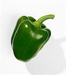 Un poivron vert